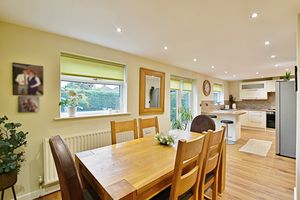 Photo 21- click for photo gallery